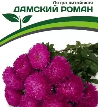 Партнер Астра китайская ДАМСКИЙ РОМАН ^(5шт в амп) - Товары для дома и сада
