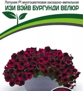 Партнер Петуния F1 серия ИЗИ ВЭЙВ БУРГУНДИ ВЕЛЮР/ многоцветковая каскадно-ампельная^(5шт в амп) - Товары для дома и сада