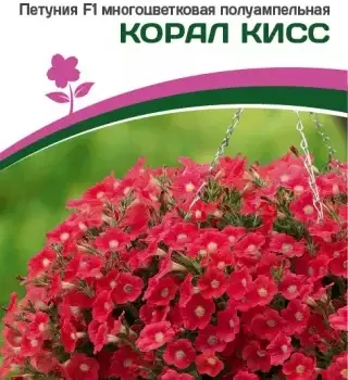 Партнер Петуния F1 серия "ЗАЦВЕТЁТ" Middle КОРАЛ КИСС / многоцветковая полуампельная^(5шт в амп) - Товары для дома и сада