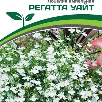 Партнер Лобелия ампельная РЕГАТТА УАЙТ ^(10шт в амп) - Товары для дома и сада