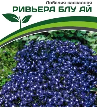 Партнер Лобелия каскадная РИВЬЕРА БЛУ АЙ ^(10шт в амп) - Товары для дома и сада