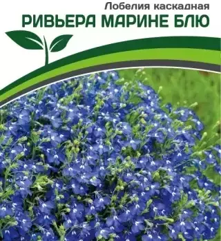 Партнер Лобелия каскадная РИВЬЕРА МАРИНЕ БЛЮ ^(10шт в амп) - Товары для дома и сада