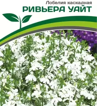 Партнер Лобелия каскадная РИВЬЕРА УАЙТ ^(10шт в амп) - Товары для дома и сада