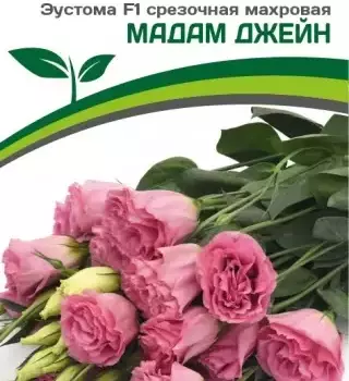 Эустома Мадам Джейн - Товары для дома и сада