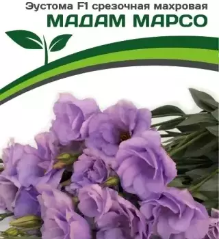 Эустома Мадам Марсо - Товары для дома и сада