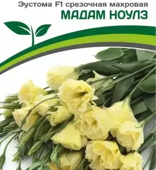 Эустома Мадам Ноулз - Товары для дома и сада