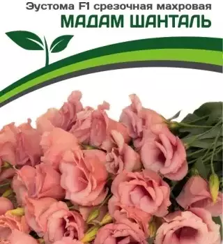 Эустома Мадам Шанталь - Товары для дома и сада