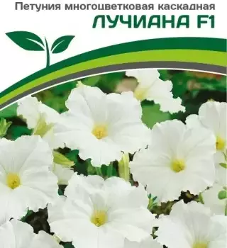Партнер Петуния серия "Мими" ЛУЧИАНА F1 / многоцветковая каскадная^(5шт в амп) - Товары для дома и сада