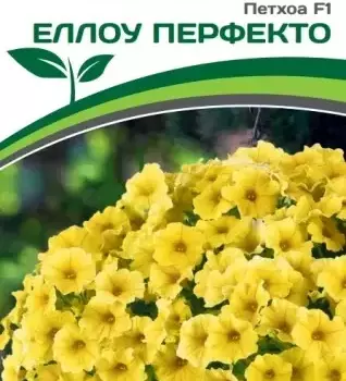 Партнер Петхоа F1 ЕЛЛОУ ПЕРФЕКТО ^(5шт в амп) - Товары для дома и сада