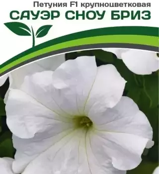 Партнер Петуния F1 САУЭР СНОУ БРИЗ / крупноцветковая кустовая^(10шт в амп) - Товары для дома и сада