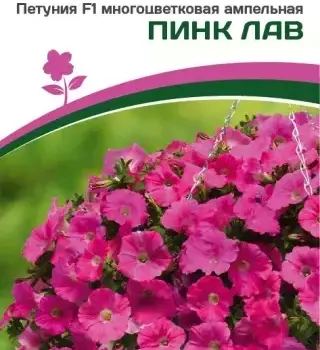 Партнер Петуния F1 серия "ЗАЦВЕТЁТ" Long ПИНК ЛАВ/ многоцветковая ампельная^(5шт в амп) - Товары для дома и сада
