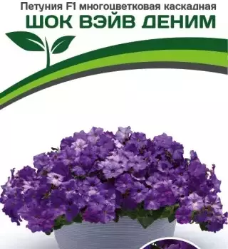Партнер Петуния F1 серия ШОК ВЭЙВ ДЕНИМ/ многоцветковая каскадная^(5шт в амп) - Товары для дома и сада