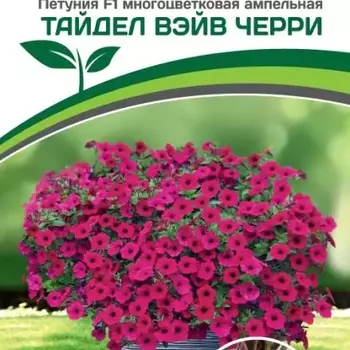 Партнер Петуния F1 серия ТАЙДЕЛ ВЭЙВ ЧЕРРИ/ многоцветковая ампельная ^(5шт в амп) - Товары для дома и сада