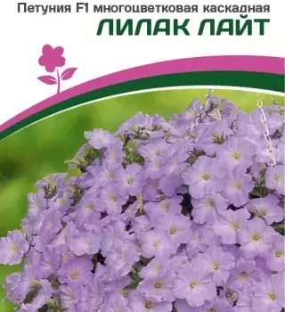 Партнер Петуния F1 серия "ЗАЦВЕТЁТ" Short ЛИЛАК ЛАЙТ/ многоцветковая каскадная^(5шт в амп) - Товары для дома и сада
