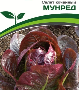Партнер Салат кочанный МУНРЕД (15шт) двойной пакет - Товары для дома и сада