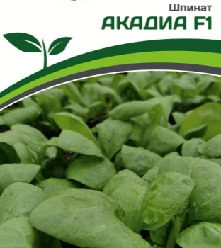 Партнер Шпинат АКАДИА F1 (2г) - Товары для дома и сада