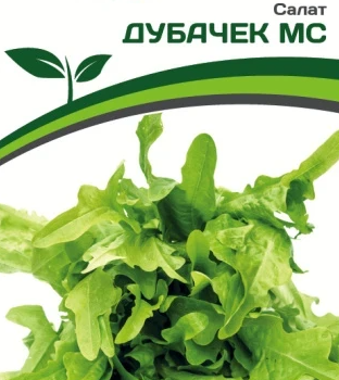 Партнер Салат листовой ДУБАЧЕК МС (0,5г) - Товары для дома и сада