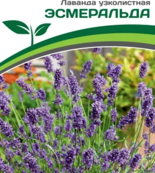 Партнер Лаванда узколистная ЭСМЕРАЛЬДА (0,05г в амп) - Товары для дома и сада