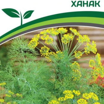 Партнер Укроп ХАНАК (2г) - Товары для дома и сада