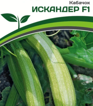 Партнер Кабачок ИСКАНДЕР F1 (5шт) - Товары для дома и сада