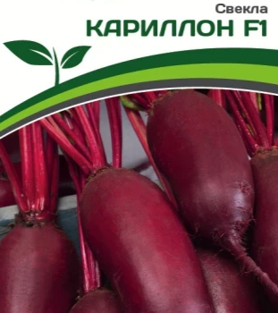 Партнер Свекла КАРИЛЛОН F1 (1,5г) - Товары для дома и сада