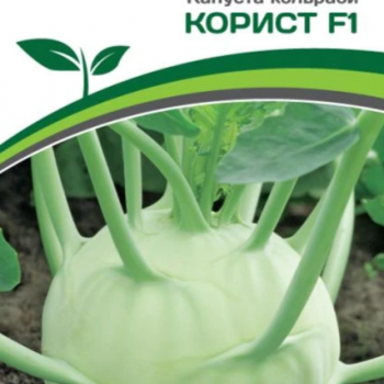Партнер Капуста кольраби КОРИСТ F1 (10шт) - Товары для дома и сада