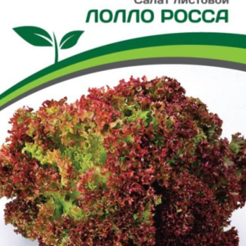 Партнер Салат листовой ЛОЛЛО РОССА (0,5г) - Товары для дома и сада