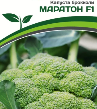 Партнер Капуста брокколи МАРАТОН F1 (10шт в амп) - Товары для дома и сада