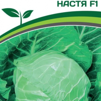 Партнер Капуста б/к НАСТЯ F1 (0,2г в амп) - Товары для дома и сада