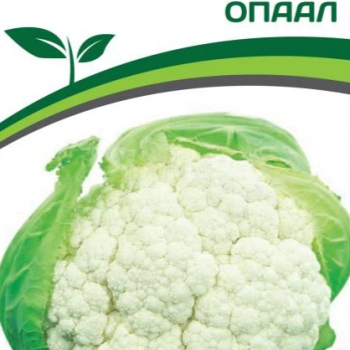 Партнер Капуста цветная ОПААЛ (10шт в амп) - Товары для дома и сада