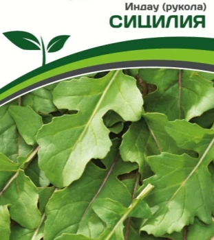 Партнер Индау (рукола) СИЦИЛИЯ (1г) - Товары для дома и сада