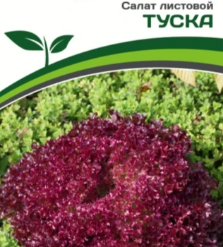 Партнер Салат листовой ТУСКА (15шт) двойной пакет - Товары для дома и сада