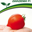 Партнер Томат ДИАДЕМА F1 (0,1 г) двойной пакет - Товары для дома и сада