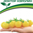 Партнер Томат ДОКТОР КЭРОЛИН (10шт) двойной пакет  - Товары для дома и сада