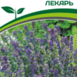 Партнер Иссоп ЛЕКАРЬ (0,5г) - Товары для дома и сада