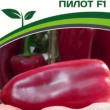 Партнер Перец ПИЛОТ F1 (10шт) двойной пакет - Товары для дома и сада