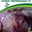 Партнер Капуста кр/к РУБИ ПЕРФЕКШН F1 (10 шт в амп) - Товары для дома и сада