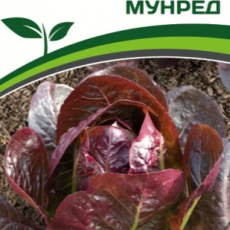Партнер Салат кочанный МУНРЕД (15шт) двойной пакет - Товары для дома и сада