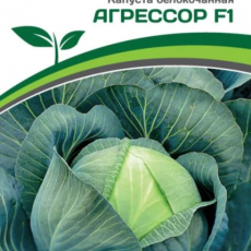 Партнер Капуста б/к АГРЕССОР F1 (10шт в амп) - Товары для дома и сада