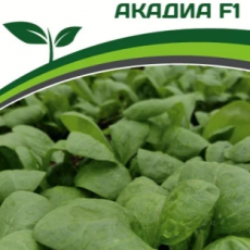 Партнер Шпинат АКАДИА F1 (2г) - Товары для дома и сада