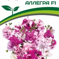 Партнер Петуния серия "Аллегра" АЛЛЕГРА F1 / крупноцветковая махровая срезочная^(5шт в амп) - Товары для дома и сада