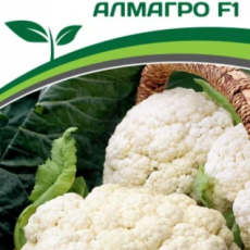 Партнер Капуста цветная АЛМАГРО F1 (10шт в амп) - Товары для дома и сада