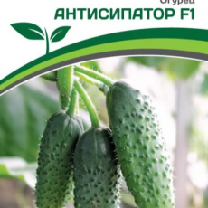 Партнер Огурец АНТИСИПАТОР F1 (5шт) - Товары для дома и сада