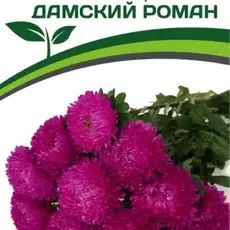 Партнер Астра китайская ДАМСКИЙ РОМАН ^(5шт в амп) - Товары для дома и сада