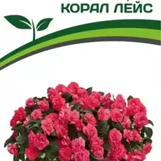 Партнер Бальзамин F1 махровый КОРАЛ ЛЕЙС ^(5шт в амп) - Товары для дома и сада