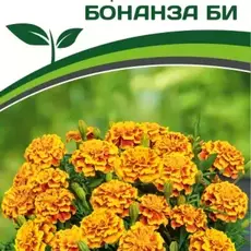 Партнер Бархатцы отклоненные БОНАНЗА БИ ^(10шт) - Товары для дома и сада