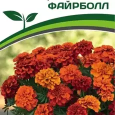 Партнер Бархатцы отклоненные ФАЙРБОЛЛ ^(10шт) - Товары для дома и сада
