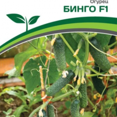 Партнер Огурец БИНГО F1 (5шт) - Товары для дома и сада