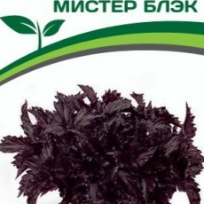 Партнер Базилик овощной серия "Букет Прованса" МИСТЕР БЛЭК (0,05г в амп) - Товары для дома и сада