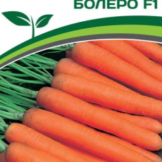 Партнер Морковь БОЛЕРО F1 (0,5г) - Товары для дома и сада